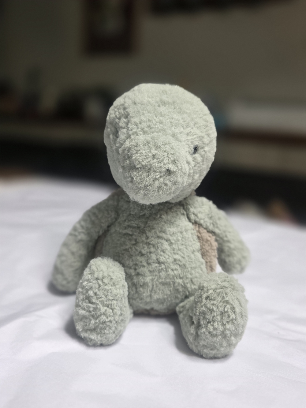 Tumbletuft Turtle *retired*
